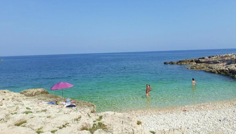 Apartman Gabrijela Muntić Buitenkant foto